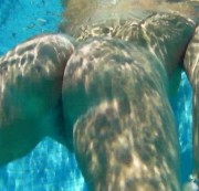 SweetSusiNRW - Unterwasser Fotze.