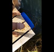 THEEGGS – Ns am Baggersee