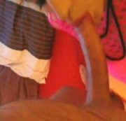 TV-Mell - Zwei Stutenlöcher!