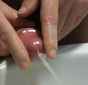 Tarzoom - Schwanz-Ölmassage