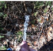 Two-Germans – Im Wald gepisst – Paula spielt mit meinem Pissstrahl und flutet den Wald..
