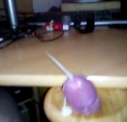 Waldbaer10 - Guck das könnte die nächste Generation sein oder