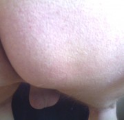 WienIstGeil - Anale Lust 2