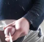 WienerHengst – In der Hauseinfahrt abgeapritzt(kein Ton)