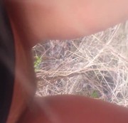 Xtreme-Sexy – Pissen am wanderweg