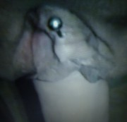 anouschka09 - fick fuck my pussy