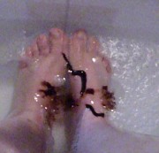 bayrischehuegel - Schokofüsse