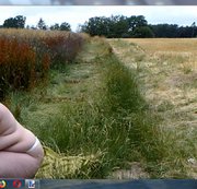 bigmama2004 – Outdoor gespielt