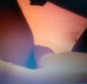 blackpearl-87 – streicheln