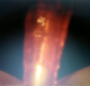 blackpearl-87 - meine muschi