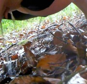 crazydesire86 - Pinkeln im Wald