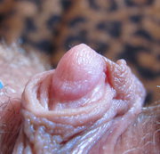 cuteblonde666 – Extreme close up scenes on my huge clit