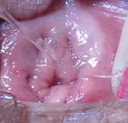 cuteblonde666 – WET VAGINA PUSSY AFTER ORGASM IN EXTREME CLOSE UP HD