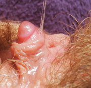 cuteblonde666 – Extreme close up big clit orgasm intense clitoris stimulation HD POV