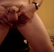 dildowolf - mein schwanz