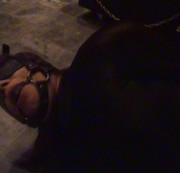 fetischbonda – Hogtied Wette 3