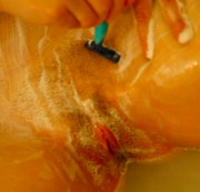 fine82 - Für erstes Video Rasiert