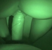 five-minutes - Green Doggy - no noise - von hinten