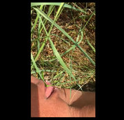 flightCAT – Pinkel/Piss Video in der freien Natur –