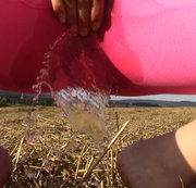 freakart – kurz pink und pipi