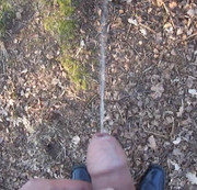 gozer1993 – Long pee in the forest