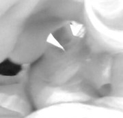 helix4 - Blondie bläst mal wieder einen schwanz