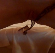 horny-berlin - ich mach es mir selber teil 2