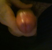 insomniajones - Schwanz-CloseUp