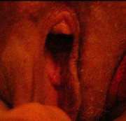 kolikojesati - Nahaufnahme Pussy Votze