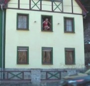 ludermaus - Lebensmüde oder ??????