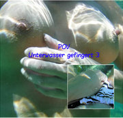 lynli - POV: Unterwasser gefingert 3