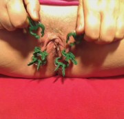 majkana - Muschi und Klammern-2