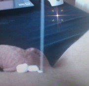 nice-pair11 - eingecremt ...hmmm..