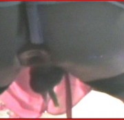 nicolodian - wäsche für die Herrin...