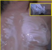 pureliebe - teen fötzchen säubern