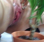 pxangelxq - Userwunsch pissen in die Zimmerblume
