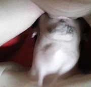 sexeverdream - Geiler Quickie