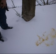 sexypaar2013 – PinkelnimSchnee