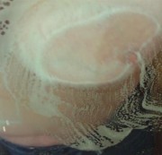 silmar00 - Fenster putzen