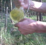 sklave391 - Ins Kondom gepisst  *OUTDOOR*