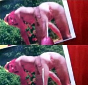 spermageile-Chantal - User riddick1111 wichst & spritzt für mich