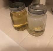 spermaschleuder83 – Was zu trinken für die Sklavin heute nacht ^^ 1