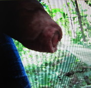 spieler1966 - Beim Spazierengehen im Wald einfach gepisst