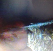 sundaylady - pissen in der feien natur