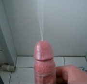 sweet-steffel - Klotürwichsen