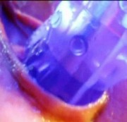 tatoowife - Dildo, super Nahaufnahmen wie er meine Vagina de