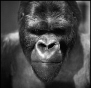 testmdh2am - test Video