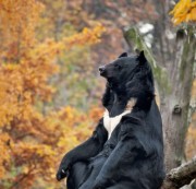 testmdhipayout - test video3