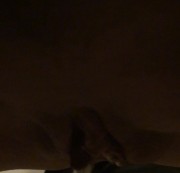 triefendevotze - ins Abflussbecken gepisst