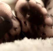 usable_ - Socken Spiel